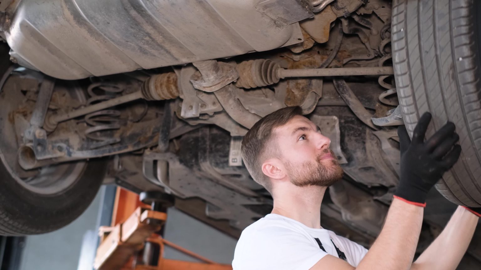 Professional Mechanic